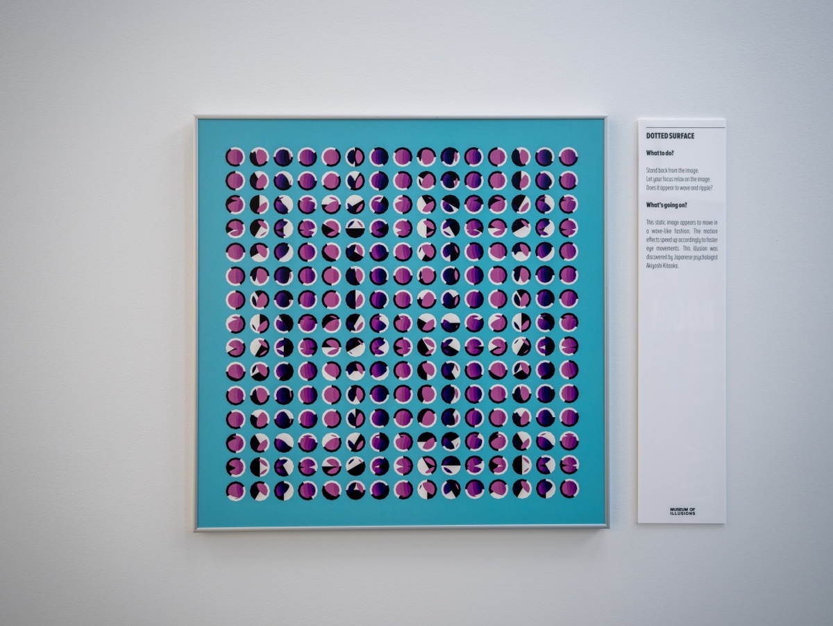 images exhibits gallery1 moi city 1200x900 1